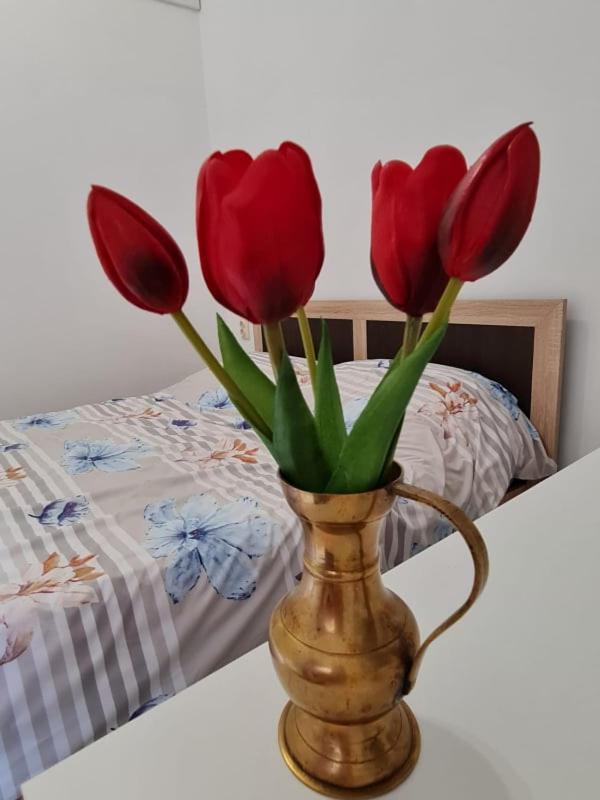 Studio Pico Cluj-Napoca Eksteriør bilde